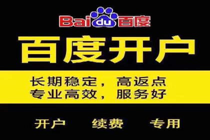 百度竞价代理全攻略：成功案例分享